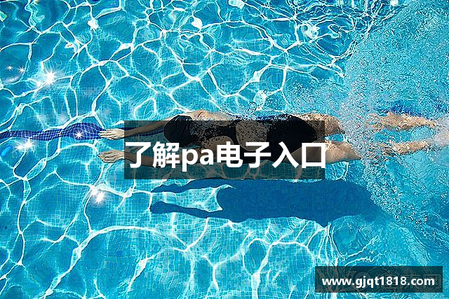 了解pa电子入口